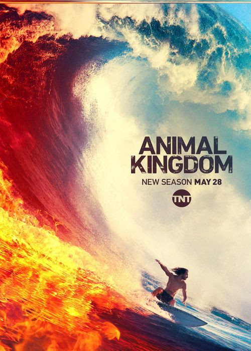 Animal Kingdom US (2016) {Sezon 1} PL.480p.WEB-DL.AC3.2.0.XviD-Ralf / Lektor PL
