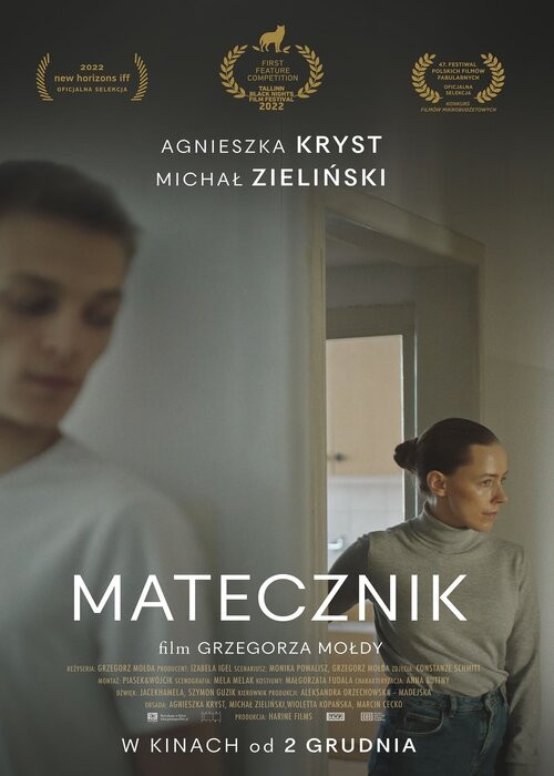 Matecznik (2022) PL.480p.WEB-DL.x264.AC3-LTS ~ film polski