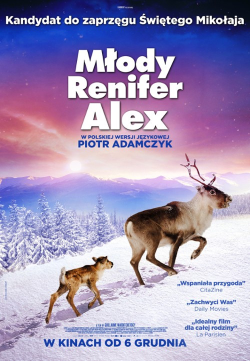 Młody renifer Alex / Ailo: Une odyssée en Laponie (2018) PL.720p.BRRiP.XviD.AC3-LTS ~ Lektor PL