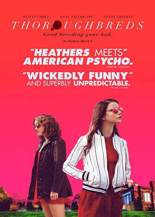 Panny z dobrych domów / Thoroughbreds (2017) MULTi.1080p.WEB-DL.H.264-DSiTE / Lektor Napisy PL