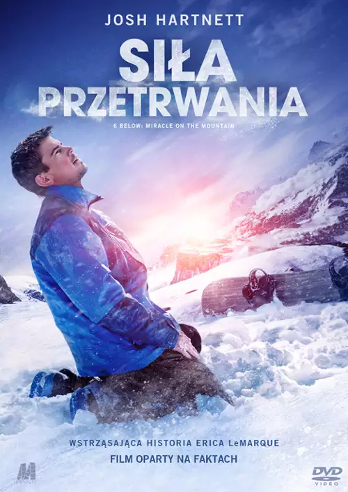 Siła przetrwania / 6 Below: Miracle on the Mountain (2017) SD