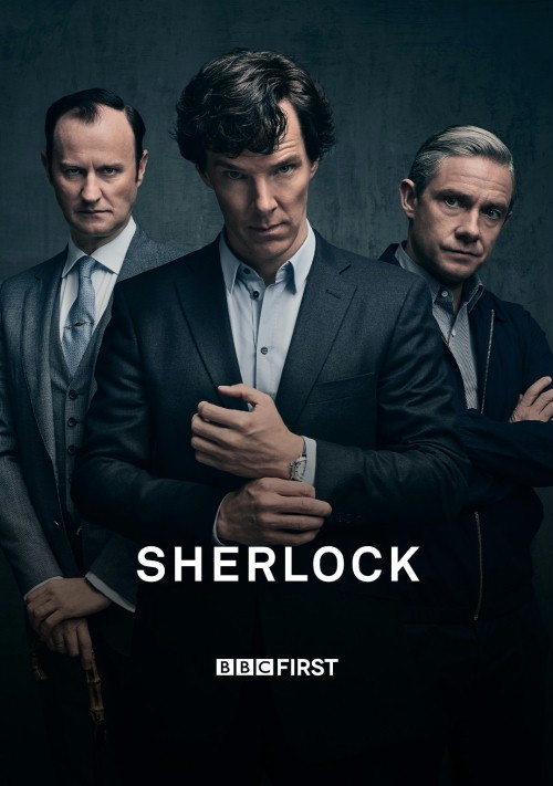 Sherlock (2014) {Sezon 3} PL.WEB-DL.XviD-WOJT / Lektor PL