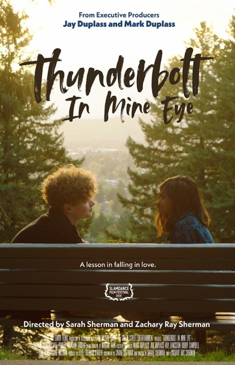 Nastoletnia miłość / Thunderbolt In Mine Eye (2020) PL.WEB-DL.XviD-GR4PE / Lektor PL