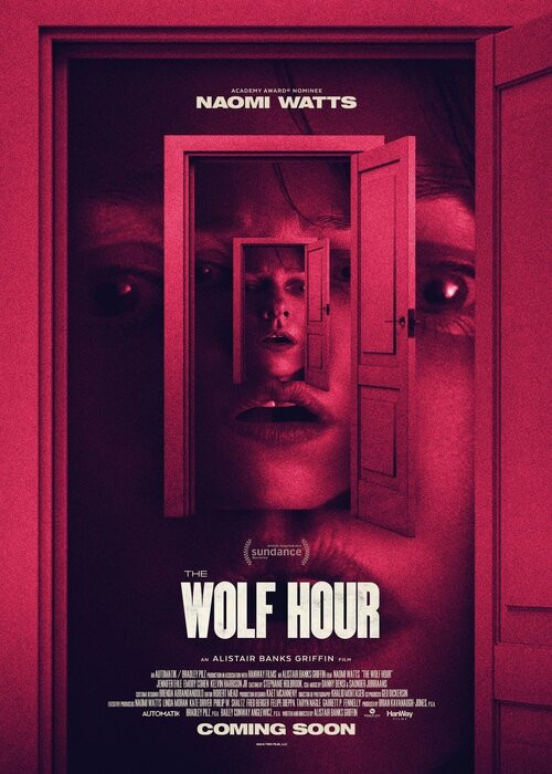 Godzina wilka / The Wolf Hour (2019) PL.1080p.WEB-DL.x264-KiT / Lektor PL