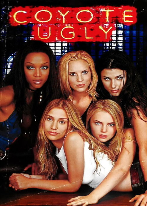 Wygrane marzenia / Coyote Ugly (2000) PL.DVDRiP.XViD-NN / Lektor PL