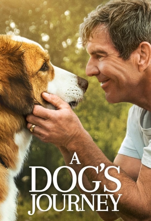 Był sobie pies 2 / A Dogs Journey (2019) SD
