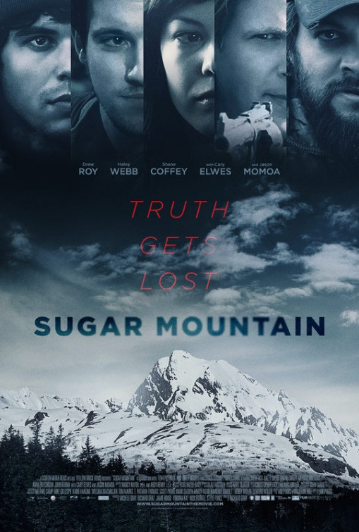 Sugar Mountain (2016) PL.480p.BRRip.XviD.AC3-SK13 / LEKTOR PL