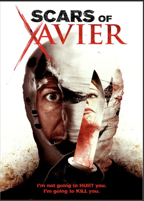Blizny Xaviera / Scars of Xavier (2017) PL.BRRip.XviD-GR4PE / LEKTOR PL