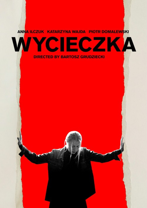 Wycieczka (2018) PL.480p.NF.WEB-DL.XViD.AC3-OzW / Film polski