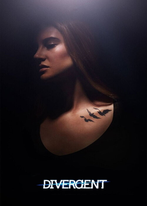 Niezgodna / Divergent (2014) SD