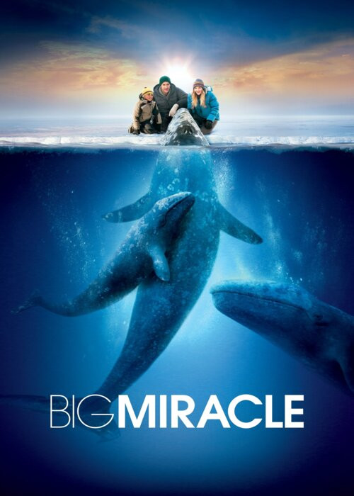 Na ratunek wielorybom / Big Miracle (2012) MULTi.1080p.WEB-DL.H.264-DSiTE / Lektor Napisy PL