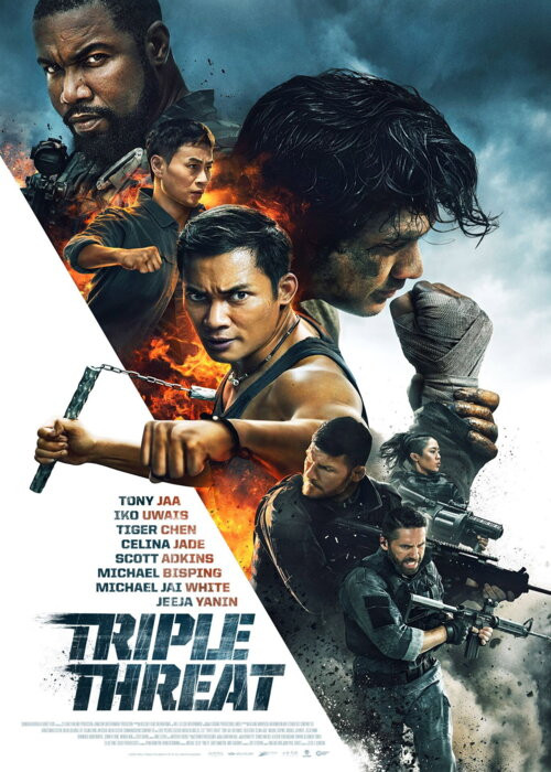 Potrójne zagrożenie / Triple Threat (2019) MULTi.1080p.BluRay.x264-DSiTE / Lektor Napisy PL