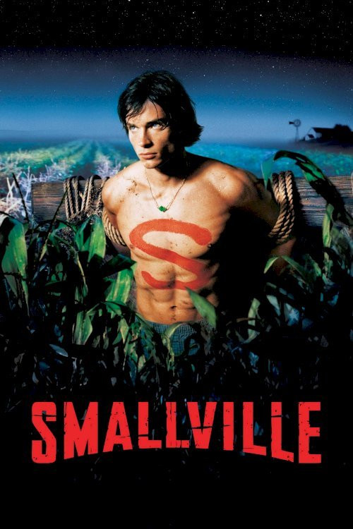 Tajemnice Smallville / Smallville (2001) {Sezon 1} PL.WEB-DL.480p.XviD-LTN / Lektor PL