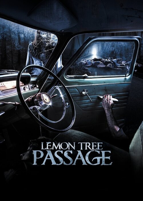 Spustoszenie / Lemon Tree Passage (2014)PL.480p.BRRip.XViD.Ac3-MORS | Lektor PL