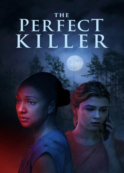 Zabójca idealny / The Perfect Killer (2025) PL.1080p.WEB-DL.x264.AC3-R22 / Lektor PL